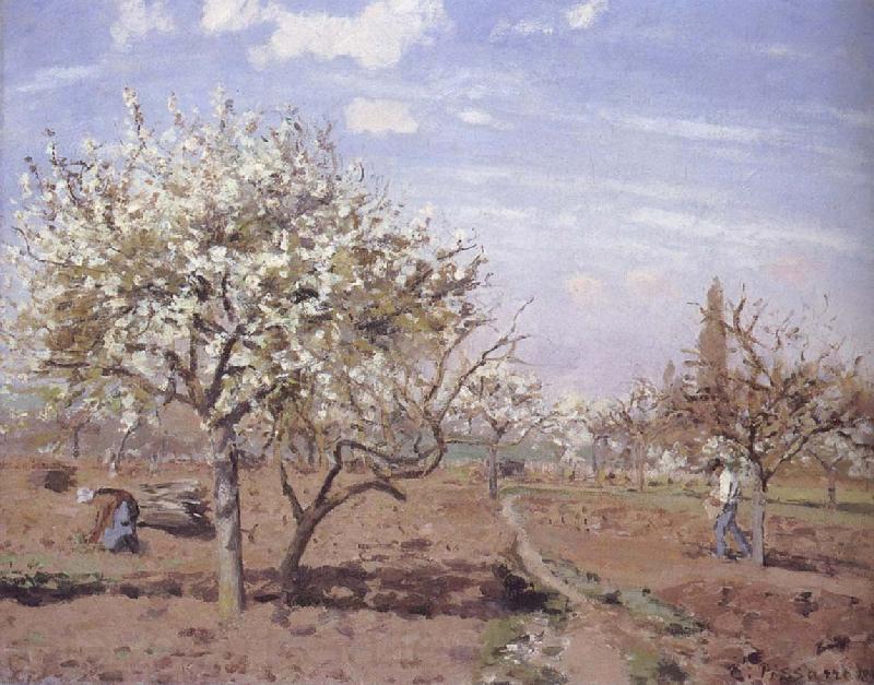 Camille Pissarro Flowering frukttradgard Louveciennes Spain oil painting art